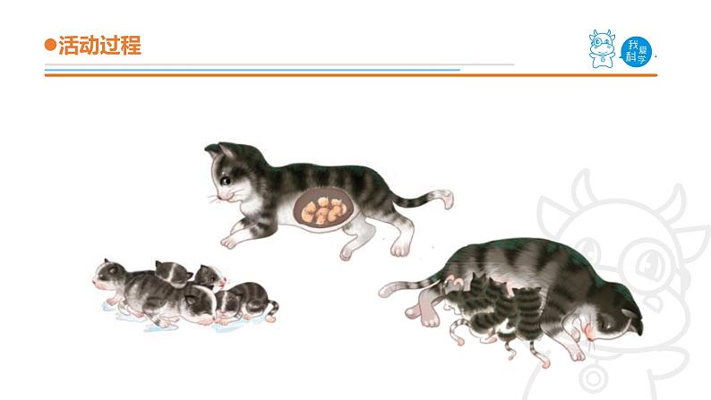 青岛版《科学》六制四年级上册4.哺乳动物课件PPT06