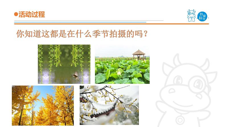 青岛版《科学》六制二年级上册7《春夏秋冬》课件PPT03