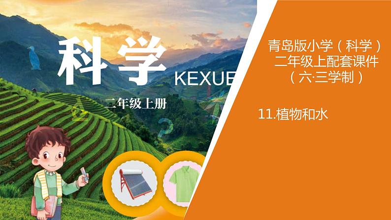 青岛版《科学》六制二年级上册11《植物和水》课件PPT01