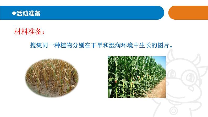 青岛版《科学》六制二年级上册11《植物和水》课件PPT02