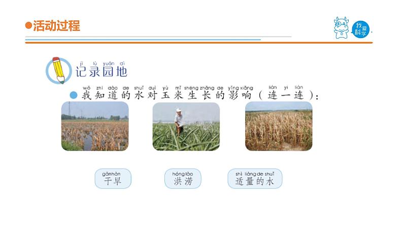 青岛版《科学》六制二年级上册11《植物和水》课件PPT08