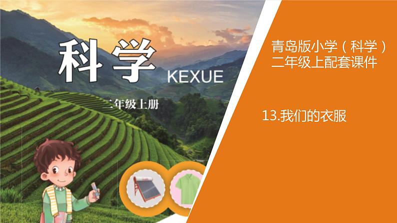 青岛版《科学》六制二年级上册13.《我们的衣服》课件PPT02