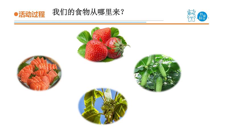 青岛版《科学》六制二年级上册12.《我们的食物》课件PPT07