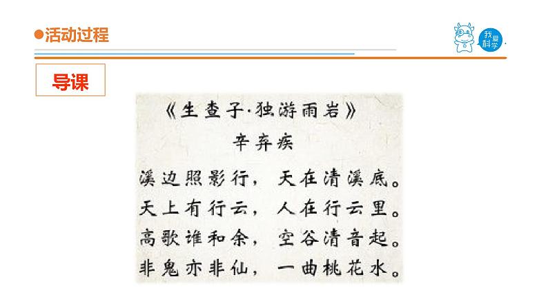 12.《玩镜子》教学课件第3页