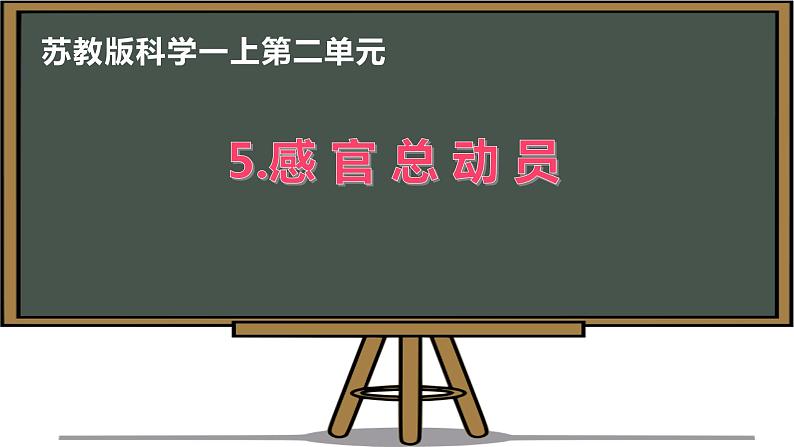 5.感官总动员课件PPT01