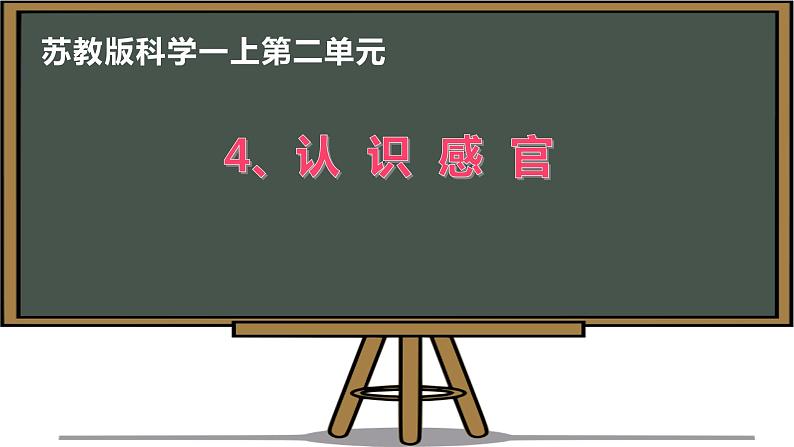 4.认识感官课件PPT01