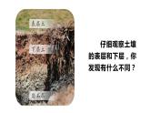 《肥沃的土壤》PPT