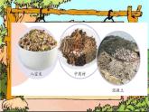《固體的混合與分離》(1)課件PPT