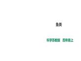 1.2《鱼类》课件