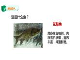 1.2《鱼类》课件