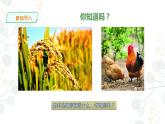 5. 生物的遺傳課件PPT