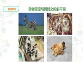 6. 生物的變異課件PPT