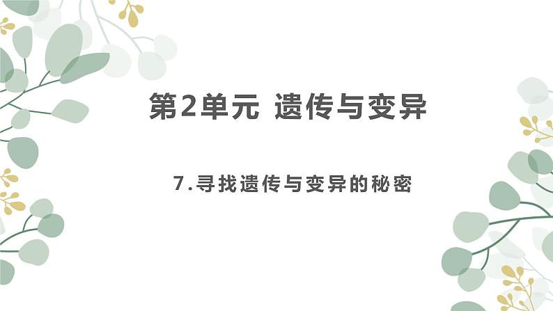 7.寻找遗传与变异的秘密课件PPT01