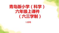 小学科学青岛版 (六三制)六年级上册1、病毒图文ppt课件