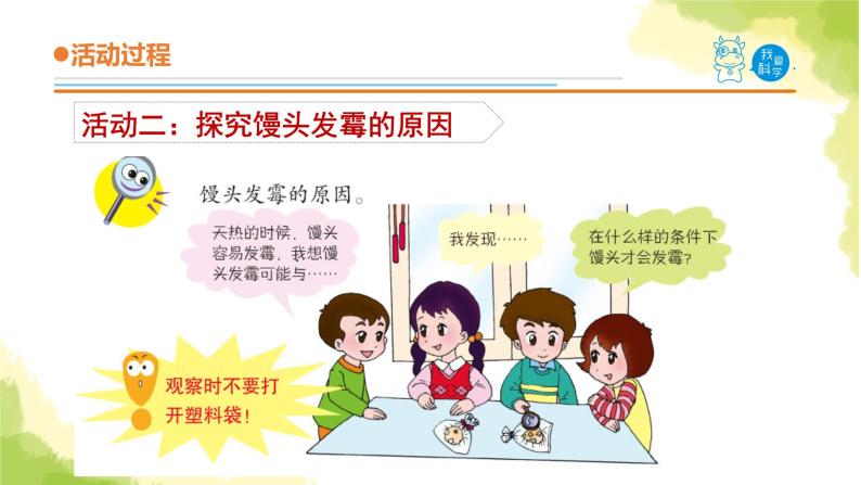 3.《馒头发霉了》课件 青岛版(六三制)小学科学六上06