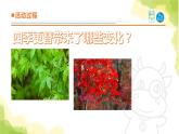 16《四季更替》课件 青岛版(六三制)小学科学六上