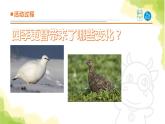 16《四季更替》课件 青岛版(六三制)小学科学六上