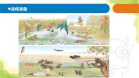 小学科学青岛版 (六三制)六年级上册23、密切联系的生物界图文ppt课件