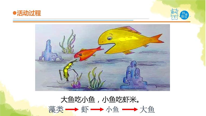 23.《密切联系的生物界》课件 青岛版(六三制)小学科学六上第8页