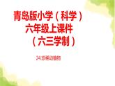 24.《珍稀动植物》课件 青岛版(六三制)小学科学六上