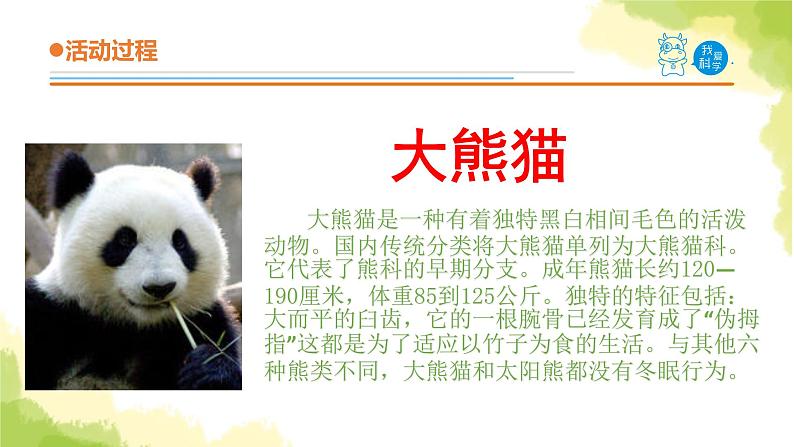 24.《珍稀动植物》课件 青岛版(六三制)小学科学六上06