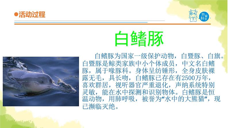 24.《珍稀动植物》课件 青岛版(六三制)小学科学六上07