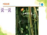5.《植物的“身體”》課件 青島版(六三制)小學科學三上
