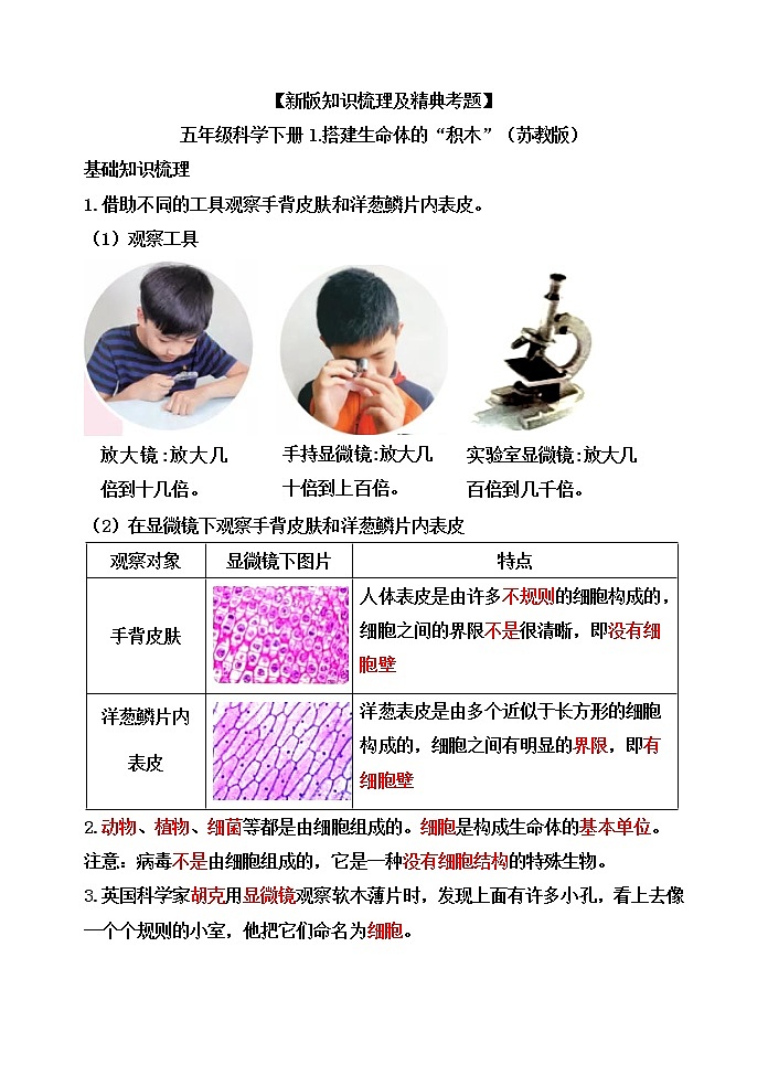 【新版知识梳理及精典考题】五年级科学下册1.搭建生命体的“积木”（苏教版）第1页