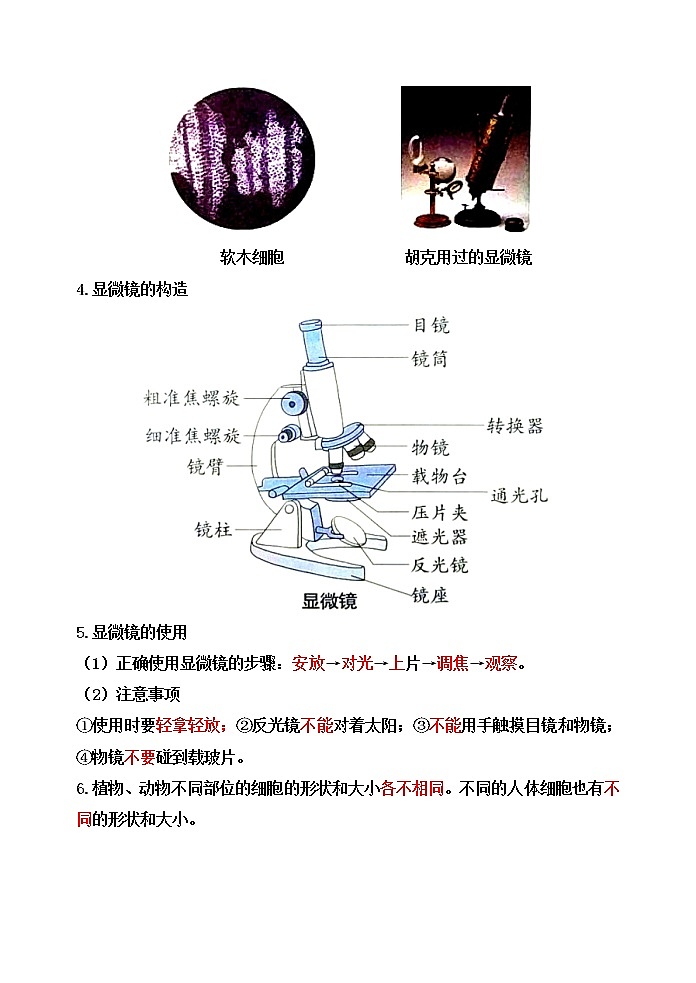 【新版知识梳理及精典考题】五年级科学下册1.搭建生命体的“积木”（苏教版）第2页
