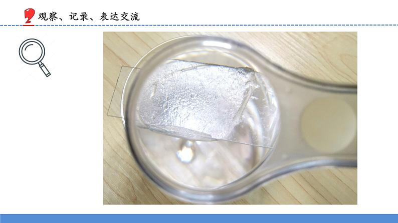 1.1搭建生命体的“积木”（课件）第8页