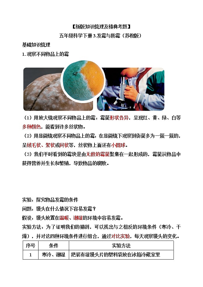 苏教版小学科学五下 1.3《发霉与防霉》（课件+教案+素材）01