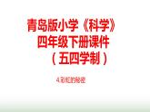 4.《彩虹的秘密》课件 青岛版(五四制)小学科学四下
