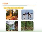 11.《地球引力》课件 青岛版(五四制)小学科学四下