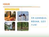 11.《地球引力》课件 青岛版(五四制)小学科学四下