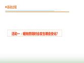 16.《蜡烛燃烧》课件 青岛版(五四制)小学科学四下