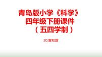 科学四年级下册第六单元 水循环20 露和霜说课课件ppt