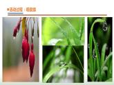 20.《露和霜》课件 青岛版(五四制)小学科学四下