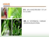 20.《露和霜》课件 青岛版(五四制)小学科学四下
