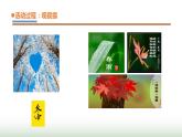 21.《雨和雪》课件 青岛版(五四制)小学科学四下