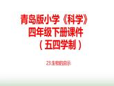 23.《生物的启示》课件 青岛版(五四制)小学科学四下