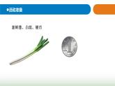 23.《生物的启示》课件 青岛版(五四制)小学科学四下