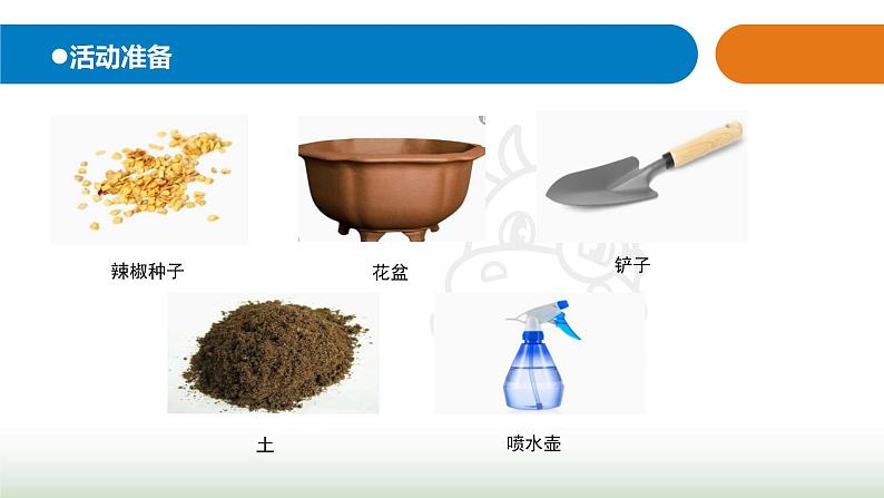 13.《种辣椒》课件 青岛版(五四制)小学科学三下第2页