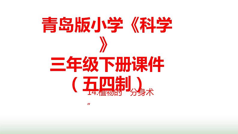 14《植物的“分身术”》课件 青岛版(五四制)小学科学三下第1页