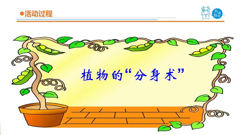 14《植物的“分身术”》课件 青岛版(五四制)小学科学三下第4页