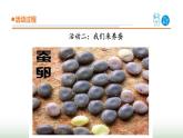 17.《养蚕》课件 青岛版(五四制)小学科学三下