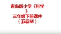 科学三年级下册22 气候图文ppt课件