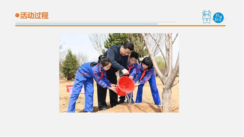 2.《植物的茎》课件 青岛版(五四制)小学科学三上03