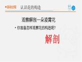 4.《植物的花》課件 青島版(五四制)小學科學三上