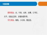 7.《固體、液體的體積和質(zhì)量》課件 青島版(五四制)小學(xué)科學(xué)三上