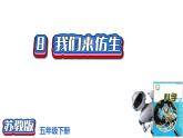2.8《我們來(lái)仿生》課件2021-2022學(xué)年五年級(jí)科學(xué)下冊(cè)蘇教版